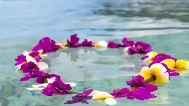 Grief and Trauma Support